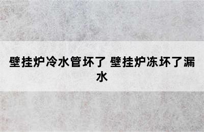 壁挂炉冷水管坏了 壁挂炉冻坏了漏水